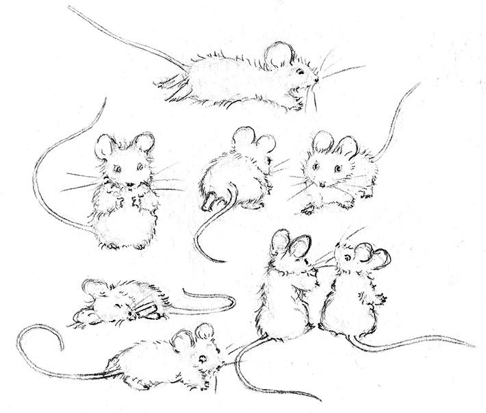 Mouse Poses for Drawing