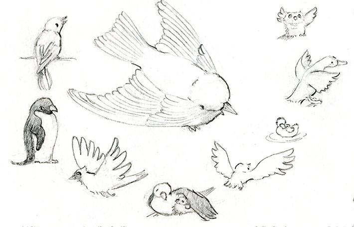 Drawing bird wing examples