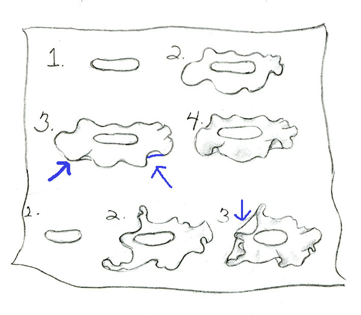 how to draw a simple flounced collar