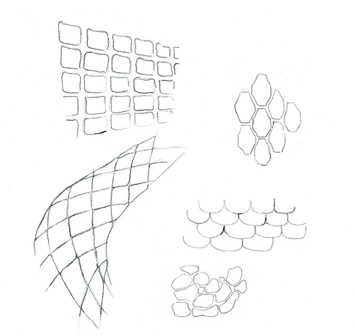 Featured image of post Fish Scales Drawing In fact i completed this drawing by taking just over an hour