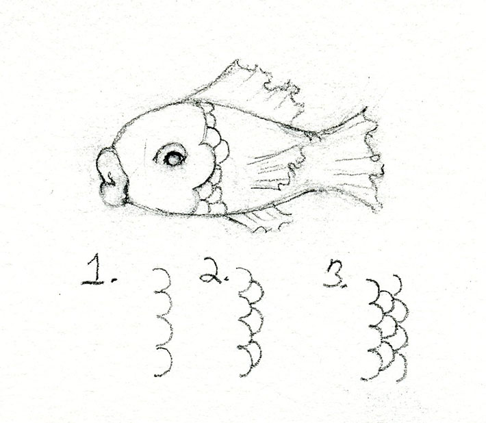 Breakdown of how to draw fish scales
