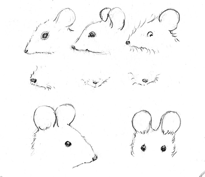 Drawing Mouse Eyes, Ears and Noses