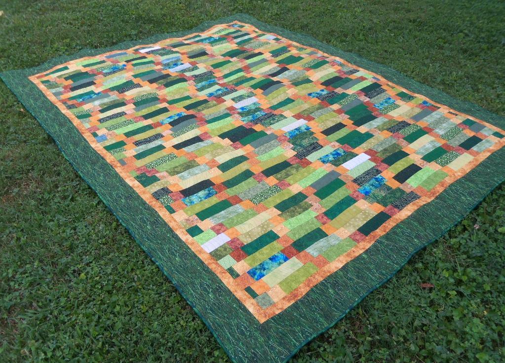 Snakes in the Grass Quilt