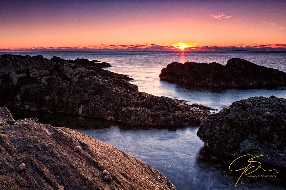 Periwinkle snails and large granite rocks on the New Hampshire seacoast at sunrise