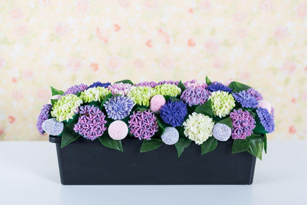 Hydrangea cake in planter