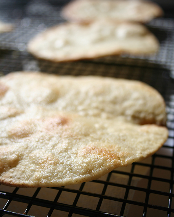 Tostada shells