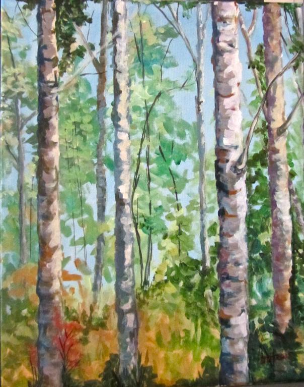 Birch trees on canvas