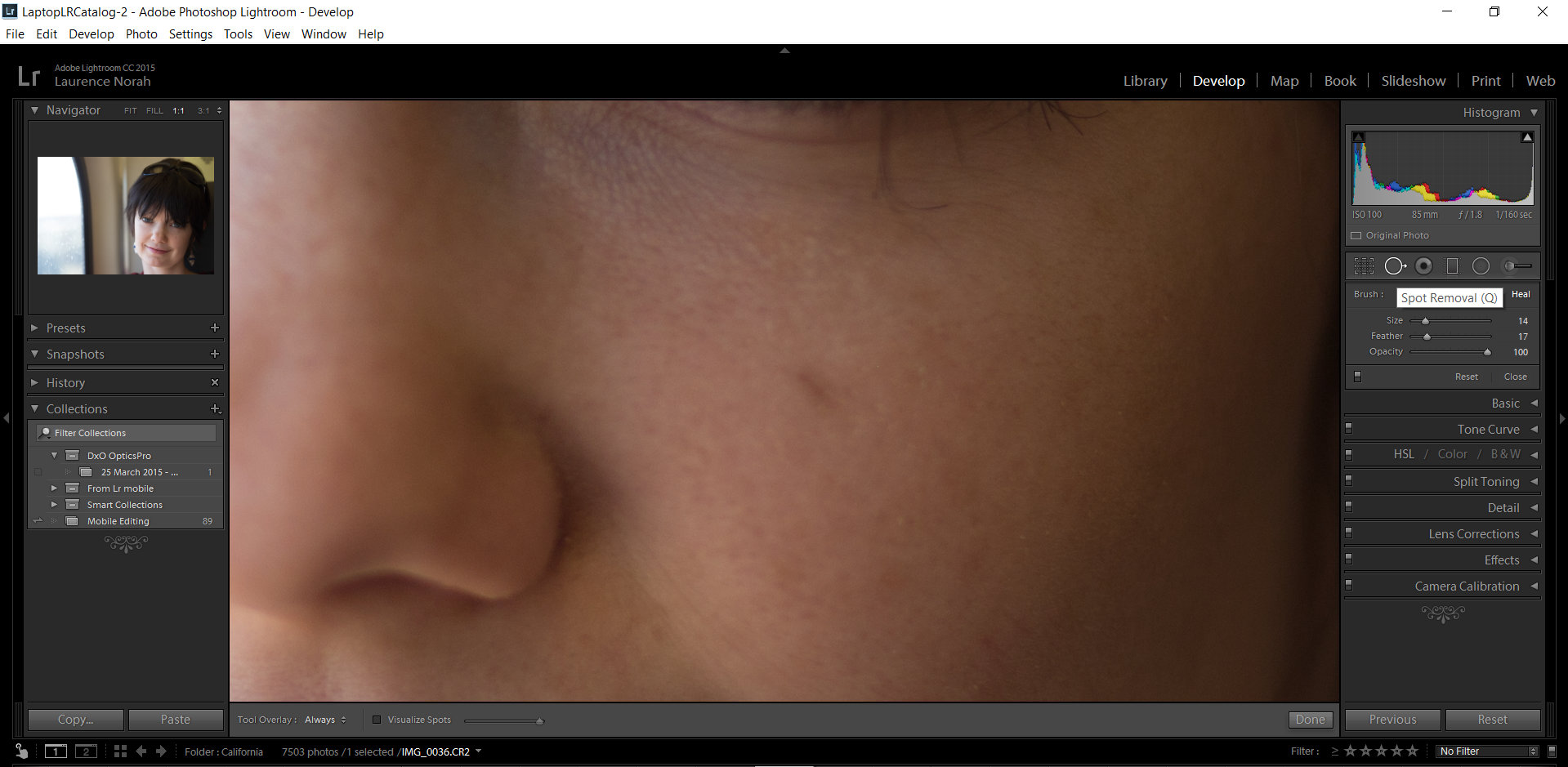 Spot Removal Tool in Lightroom