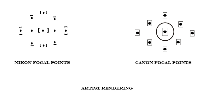 Artist Rendered focal Points for nikon and canon