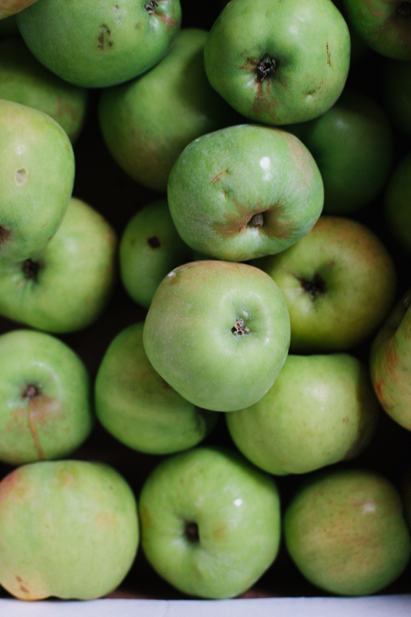 tart, crisp and fresh apples