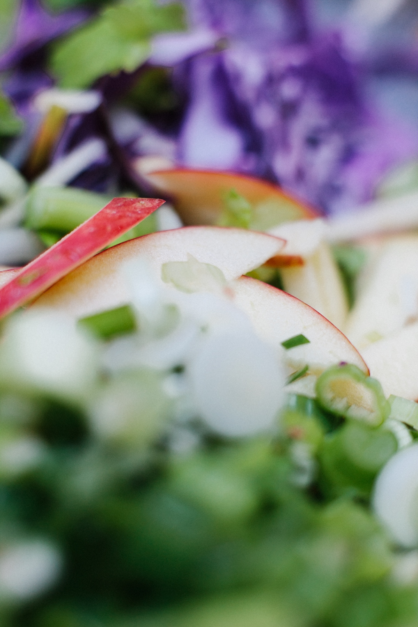 Sliced Apples in Apple Slaw Salad