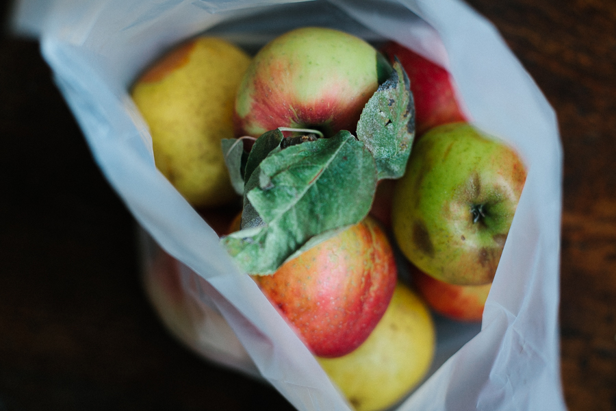 fall ingredients for a salad