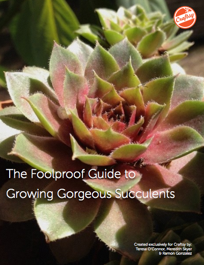 The Foolproof Guide to Growing Gorgeous Succulents