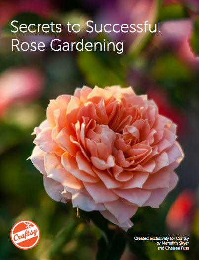 Secrets to Successful Rose Gardening