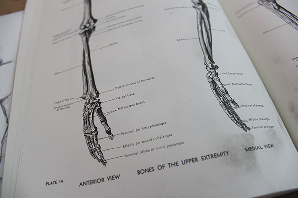 Anatomy book of hands