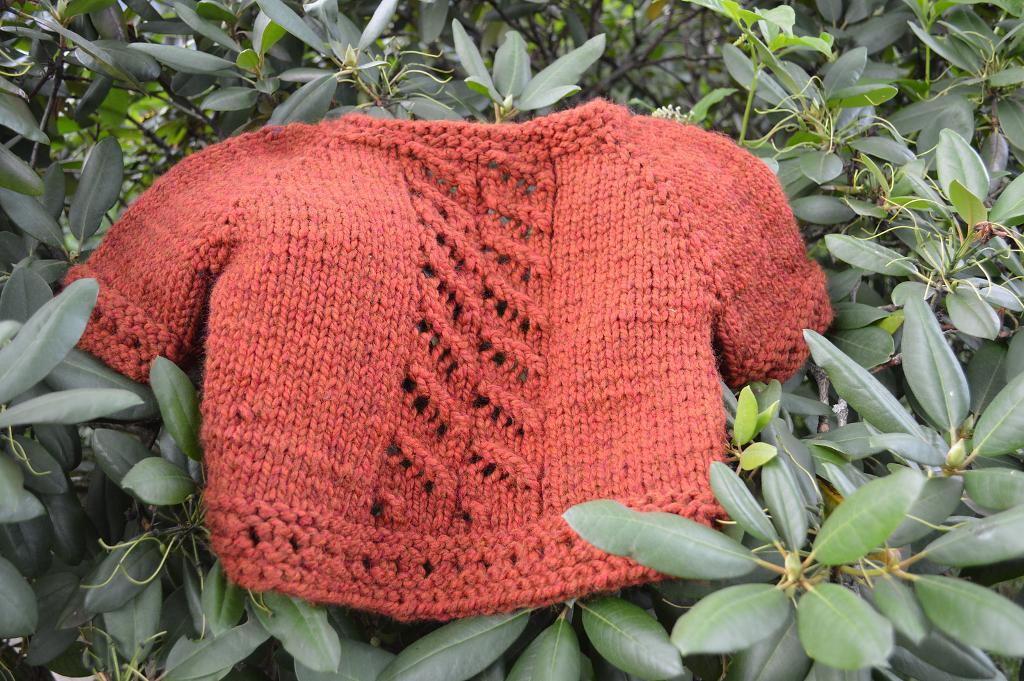 Snug as a Ladybug in a Rug FREE Sweater Knitting Pattern