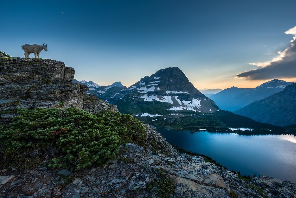 Glacier Depth of Field