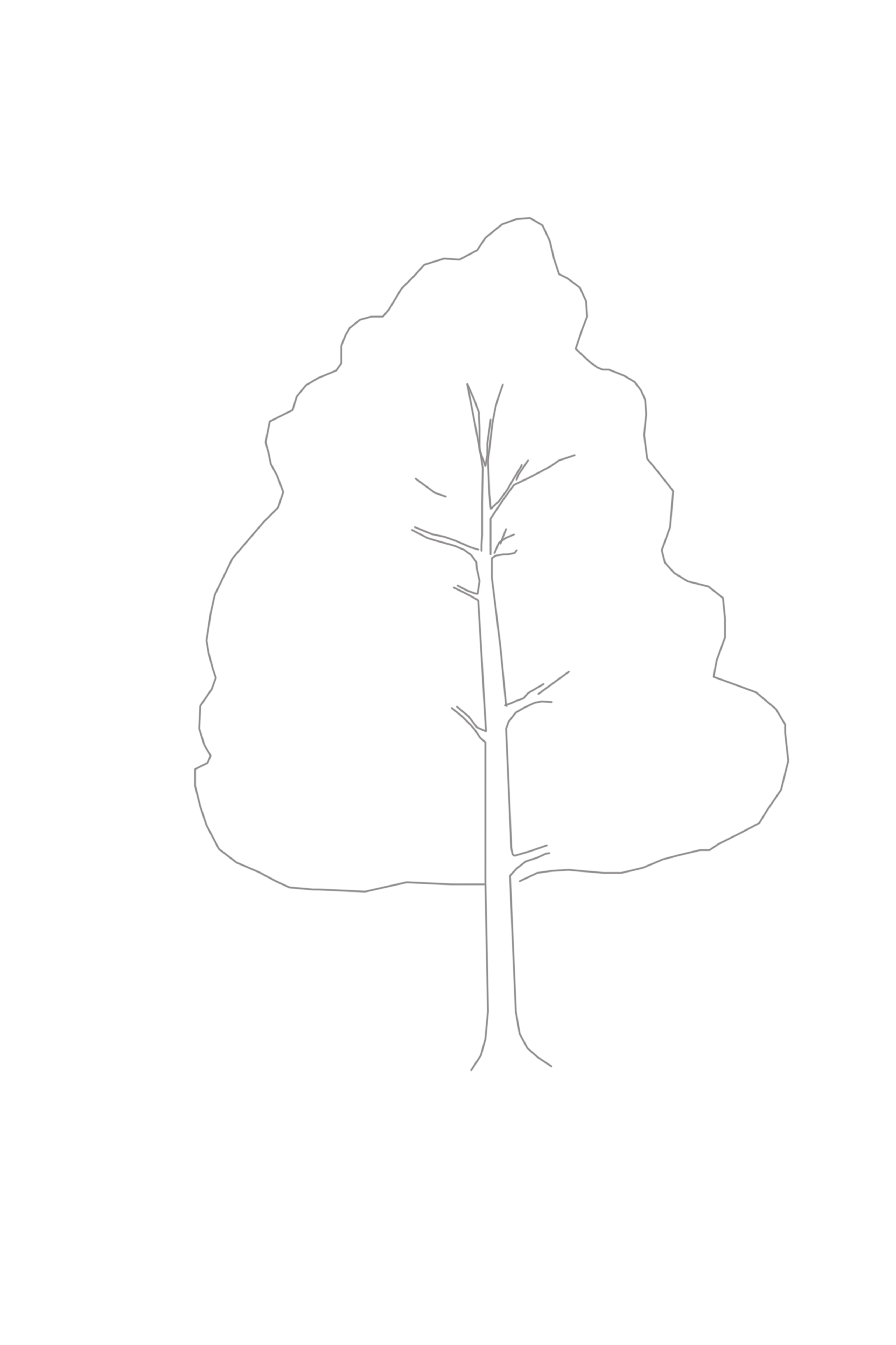 Outline of Tree leaves