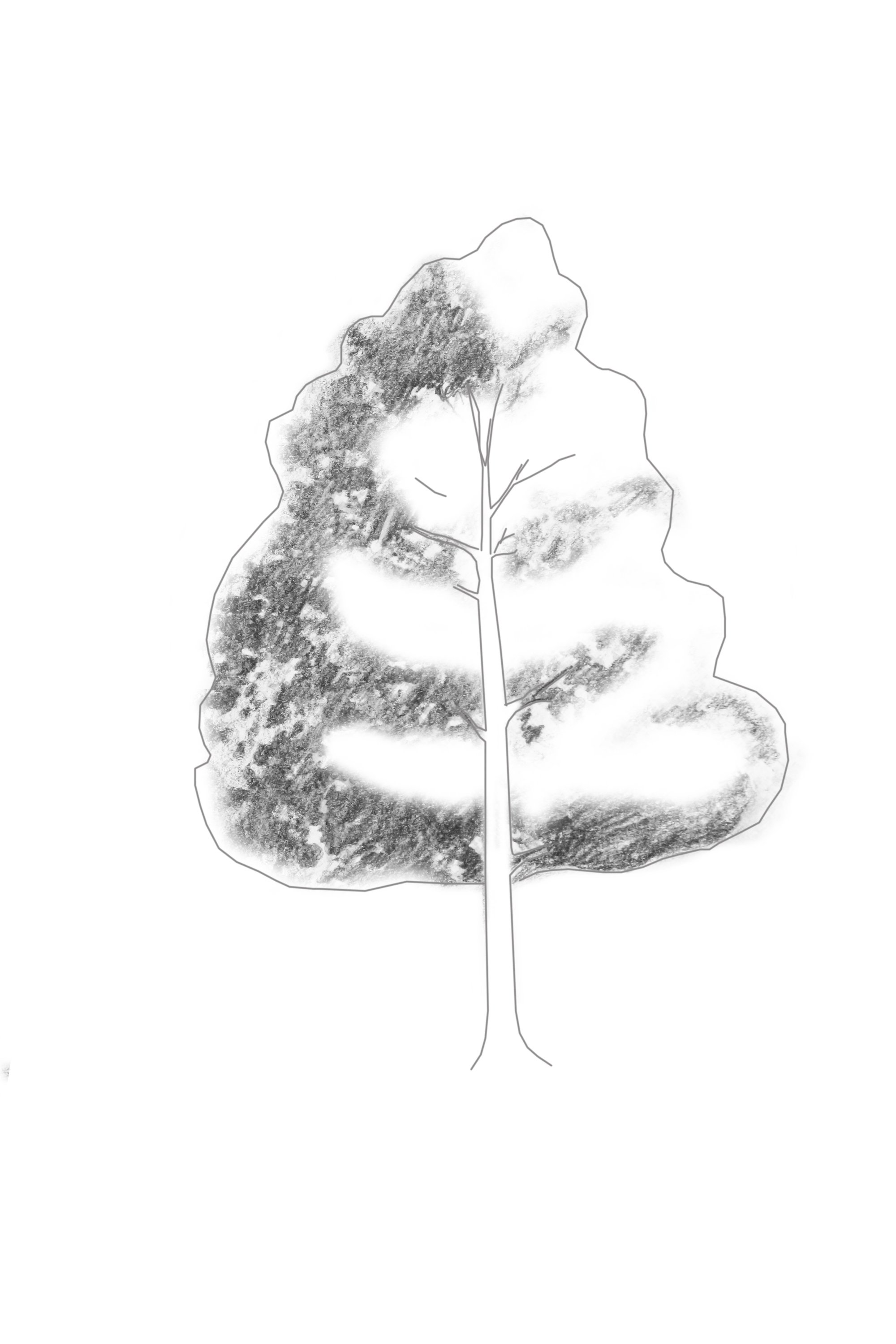 Add Shading on Tree