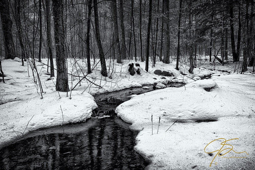 Black and white photo of a stream flowing through the winter woods.