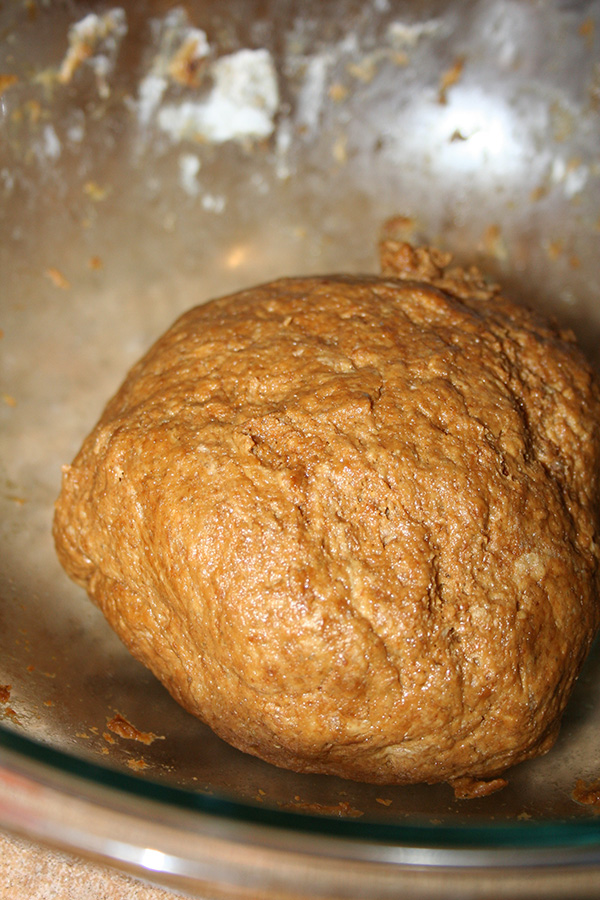 Rye bread dough