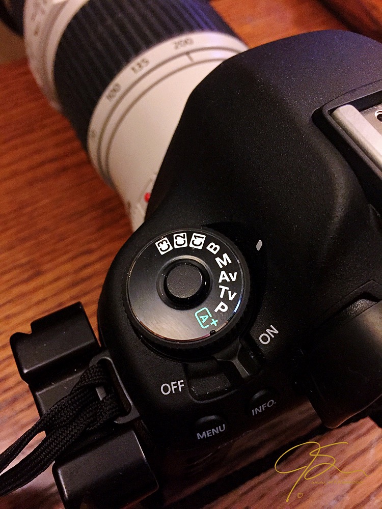 A Canon camera mode dial, set to manual mode, on a 5D MkIII