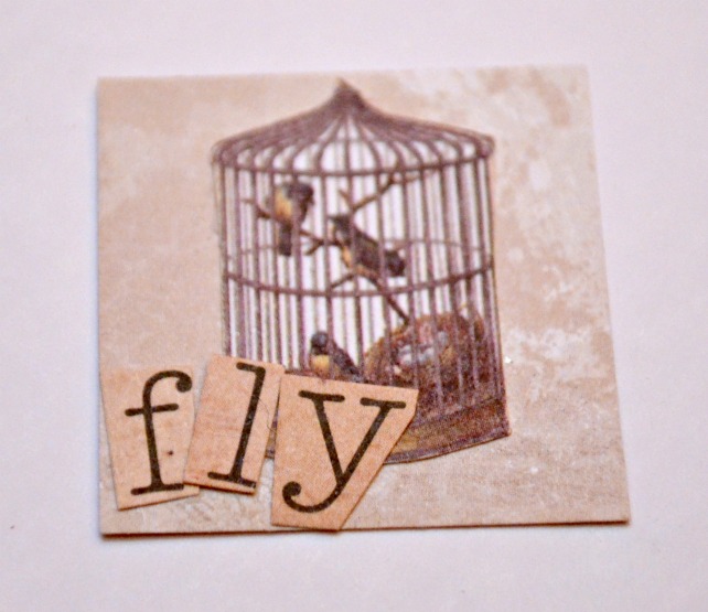 Locket Insert