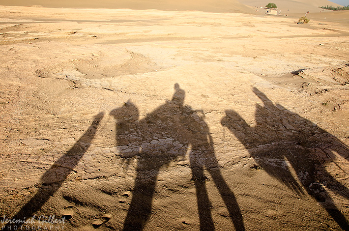 Shadow as Main Subject - shadow photography