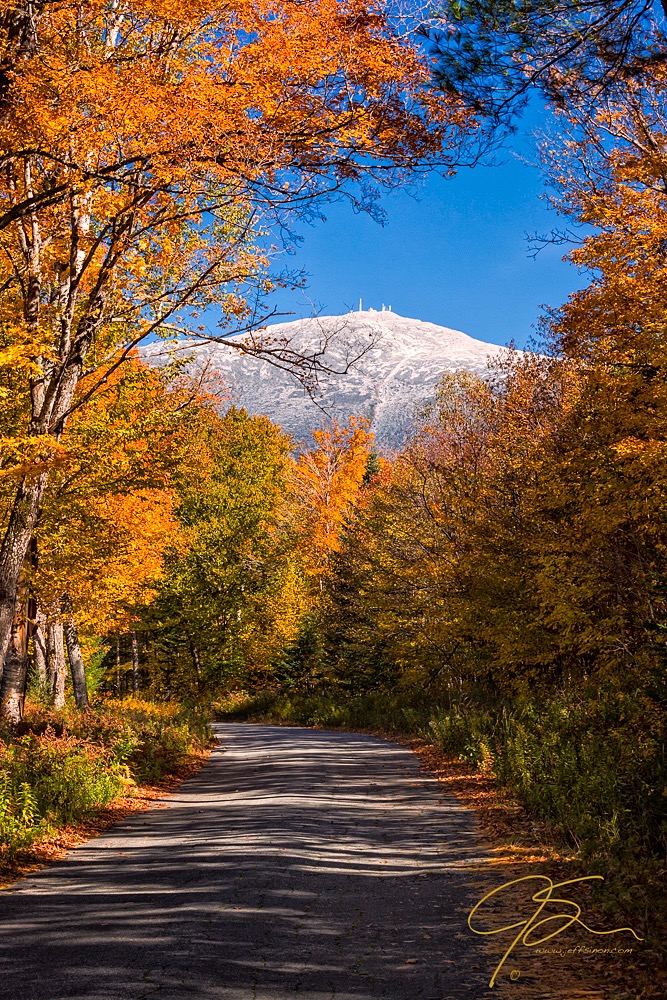 Snow capped mount washington seen through a window in the fall foliage.