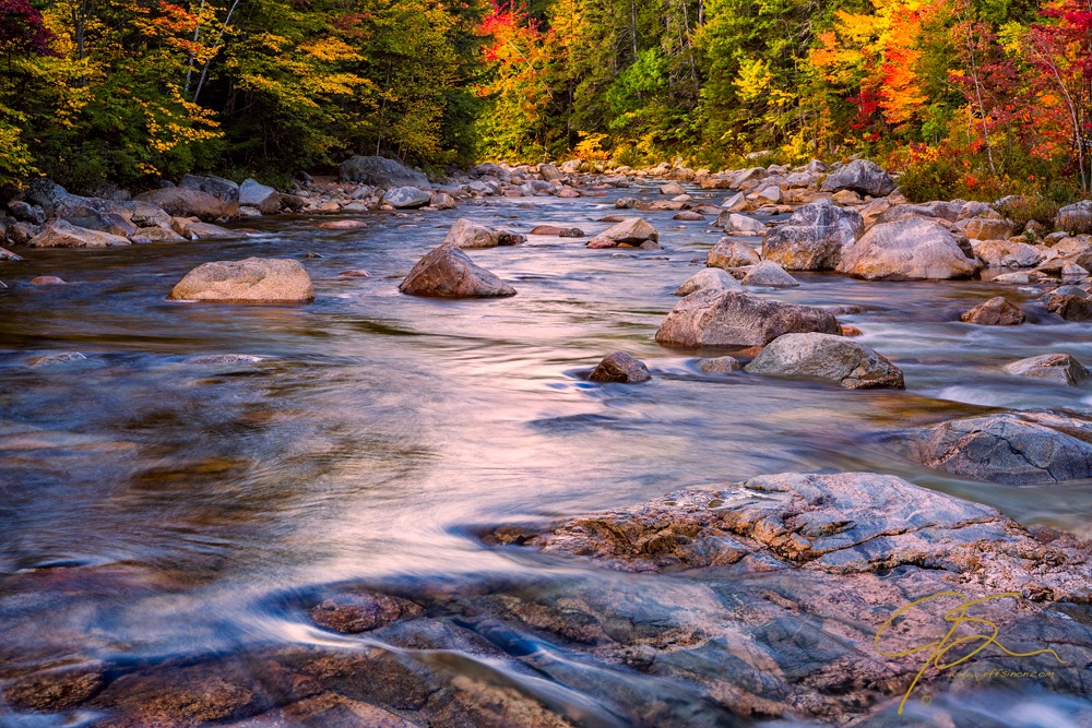 Swift River Autumn Color.