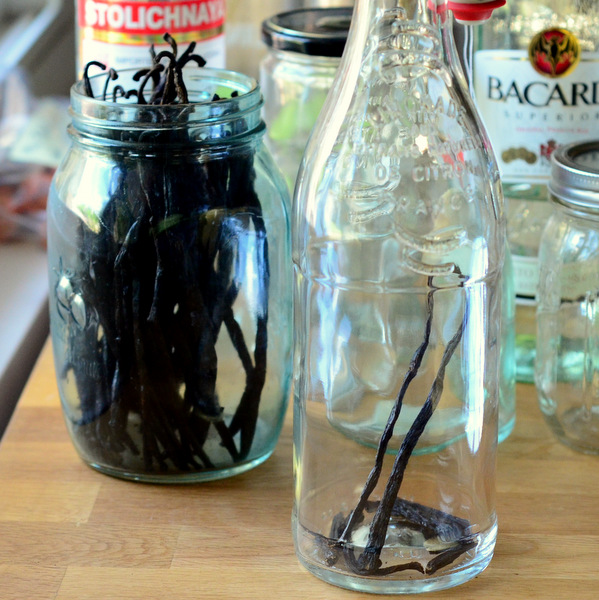 Vanilla Beans Chopped Up to Make Vanilla Extract