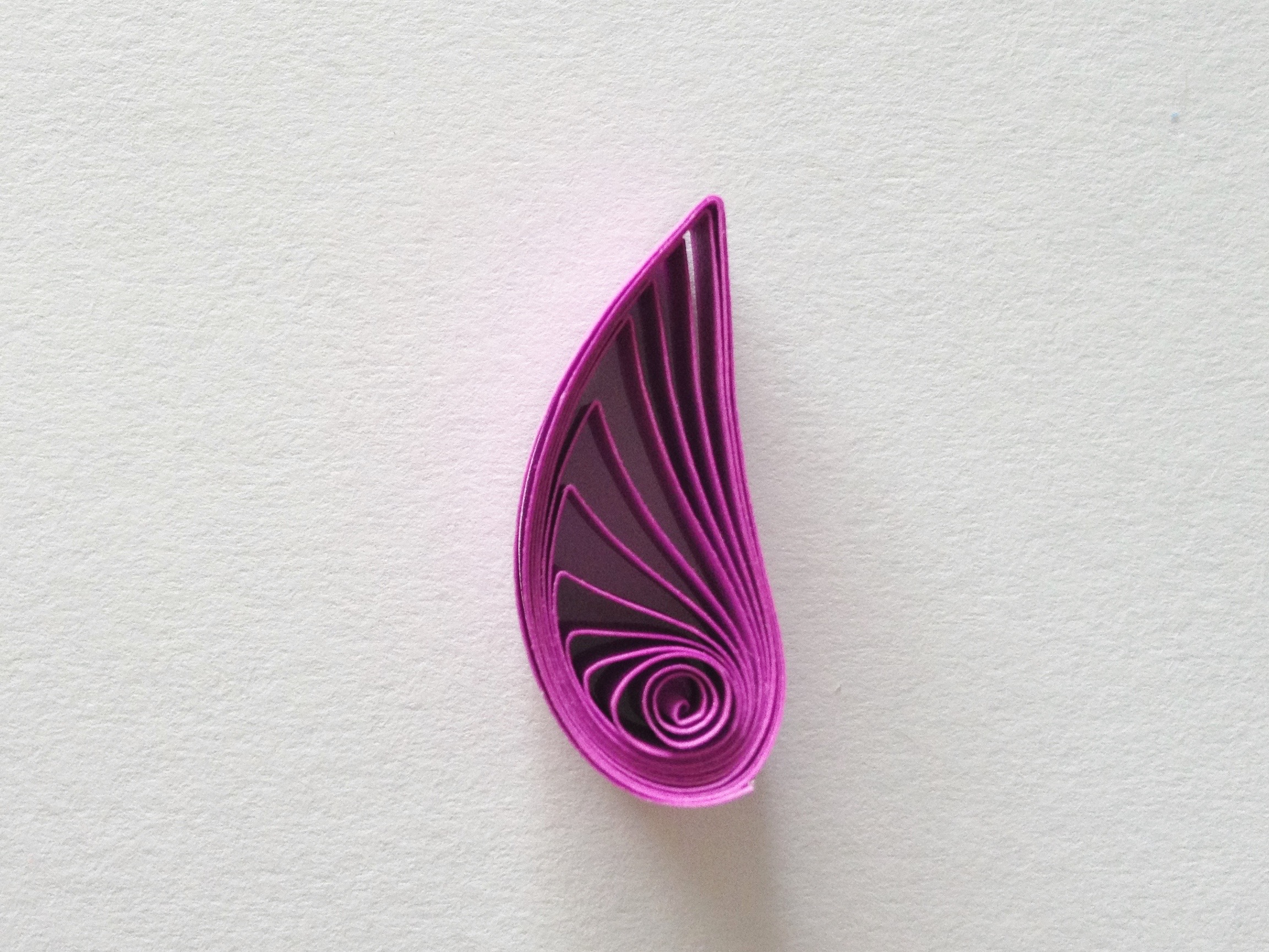 What do I need to start Paper Quilling with Minimum Budget - Craftylity