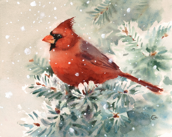 Red Cardinal Watercolor