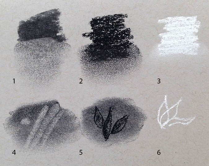 types of charcoal and their use