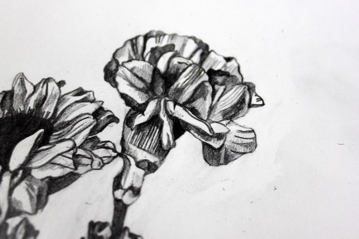 drawing flower details