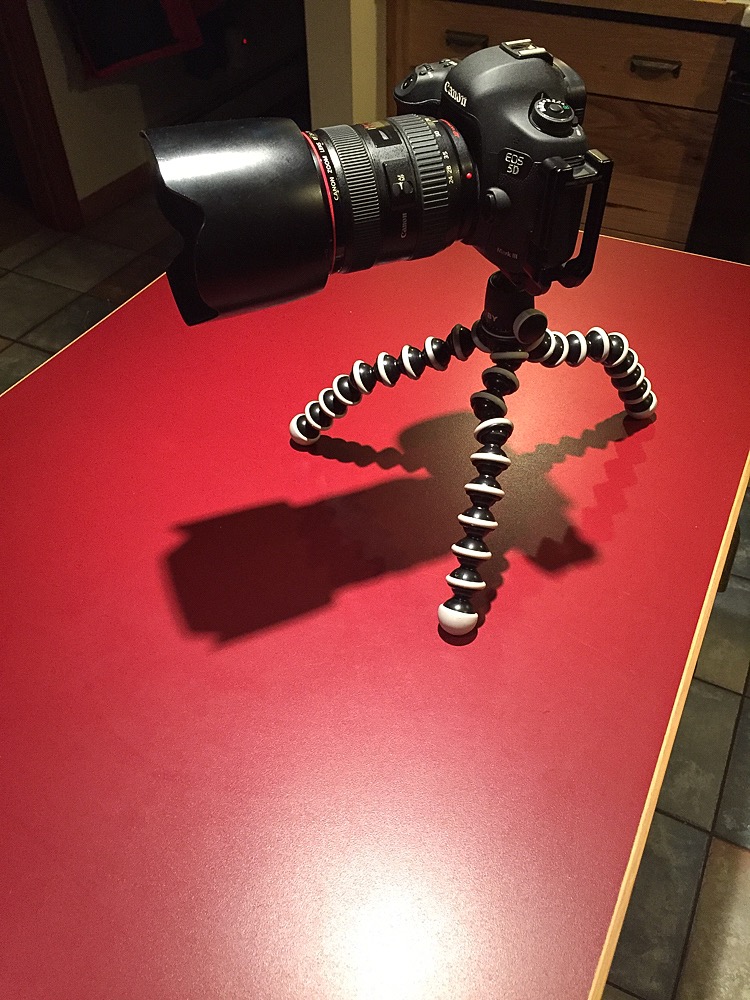 GorillaPod