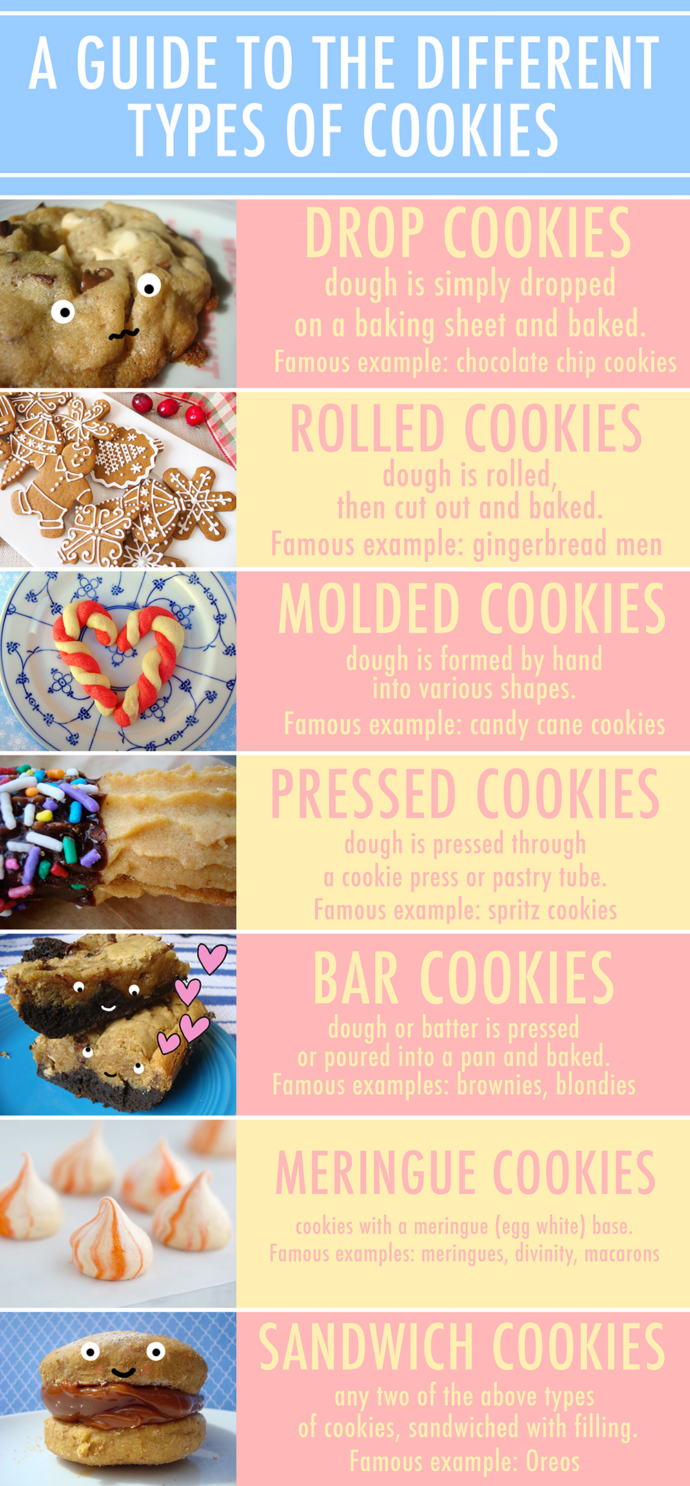 Different Types of Cookies Infograph
