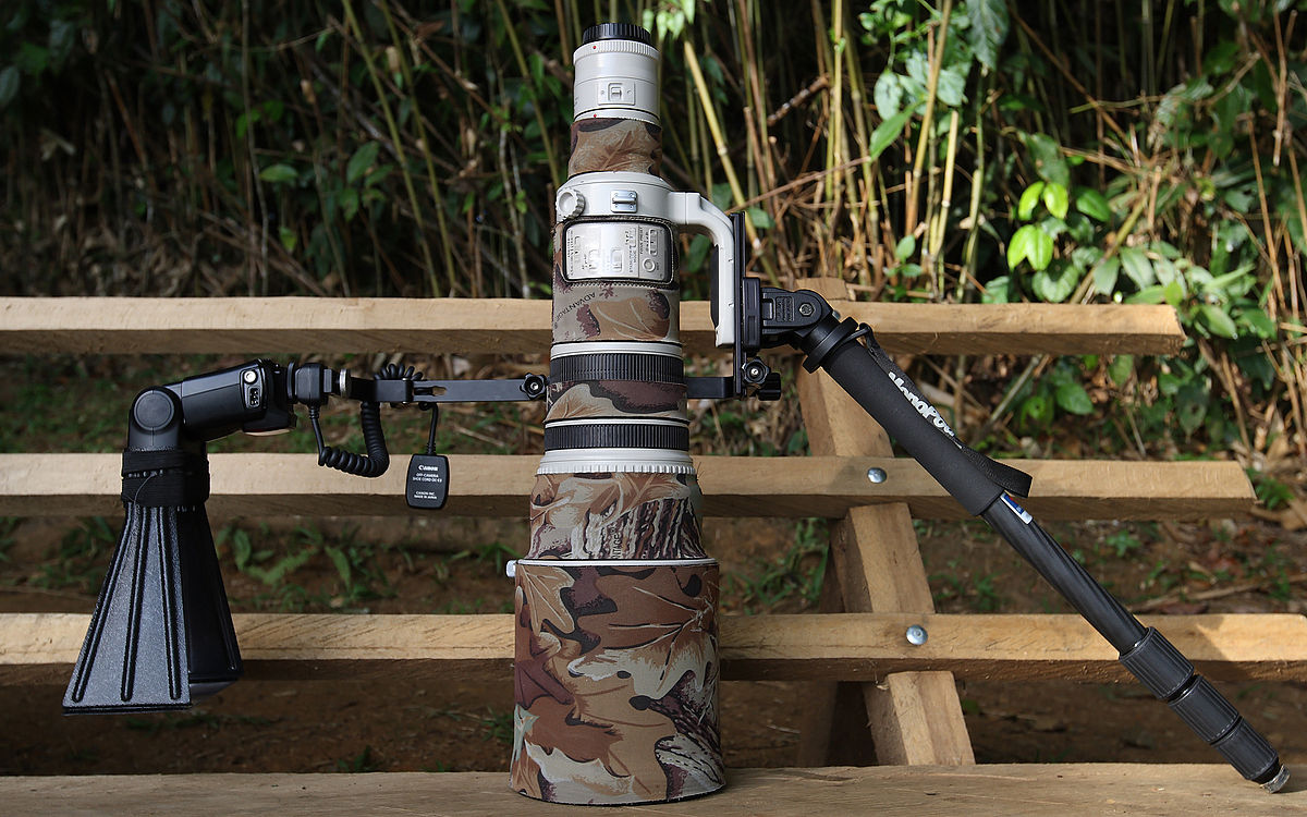 Canon EF 500mm f4L IS USM with teleconvertor