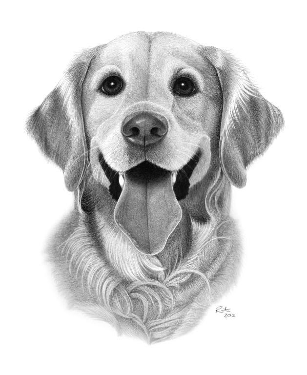 30 Amazing Pencil Drawings around the world for your inspiration