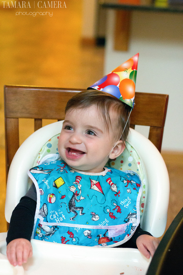 First Birthday Baby Photo