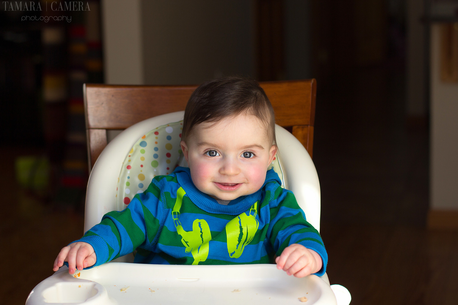 Baby Photo in High Chair