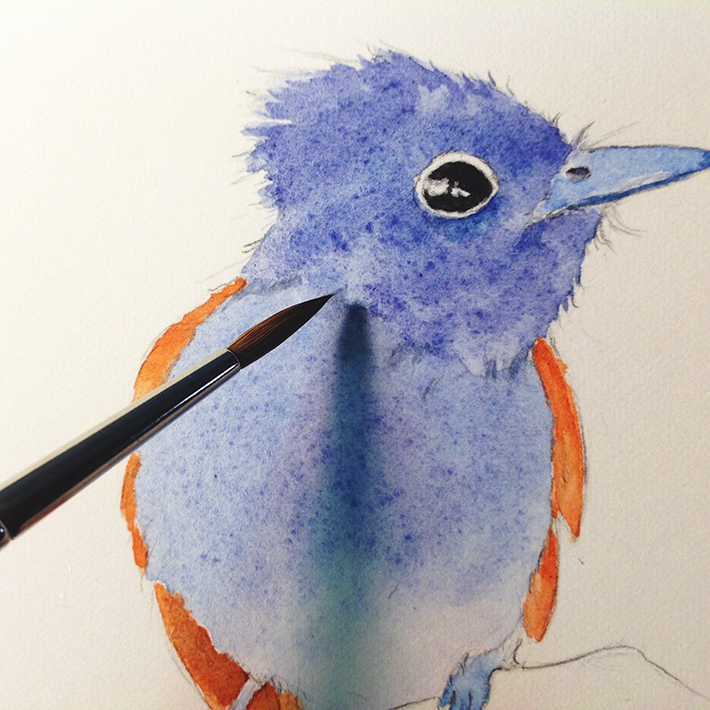 painting bird studies