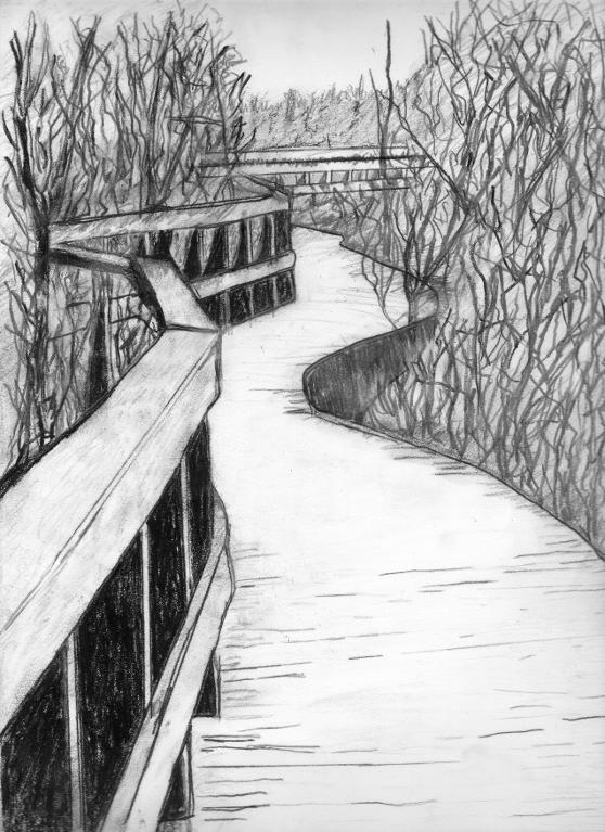 Charcoal Landscape Drawing