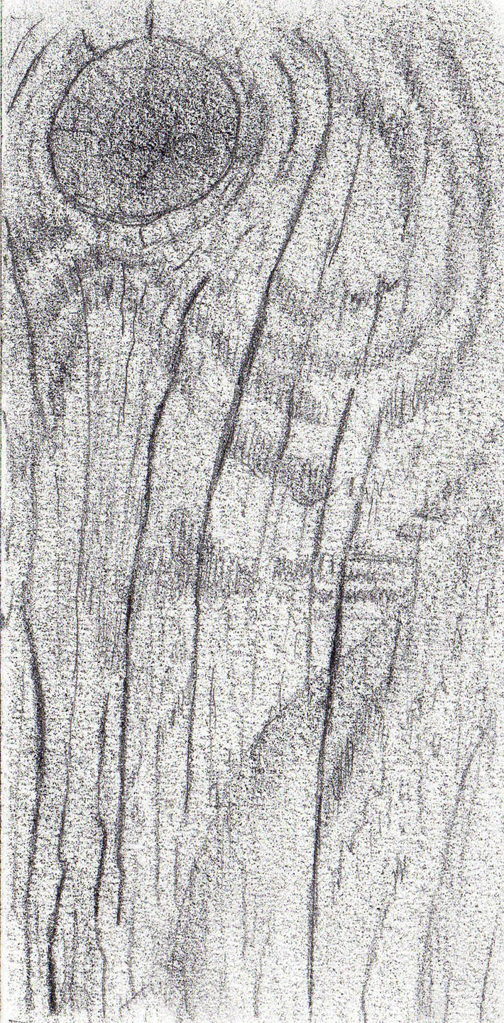 s drawing wood texture graphite step 2