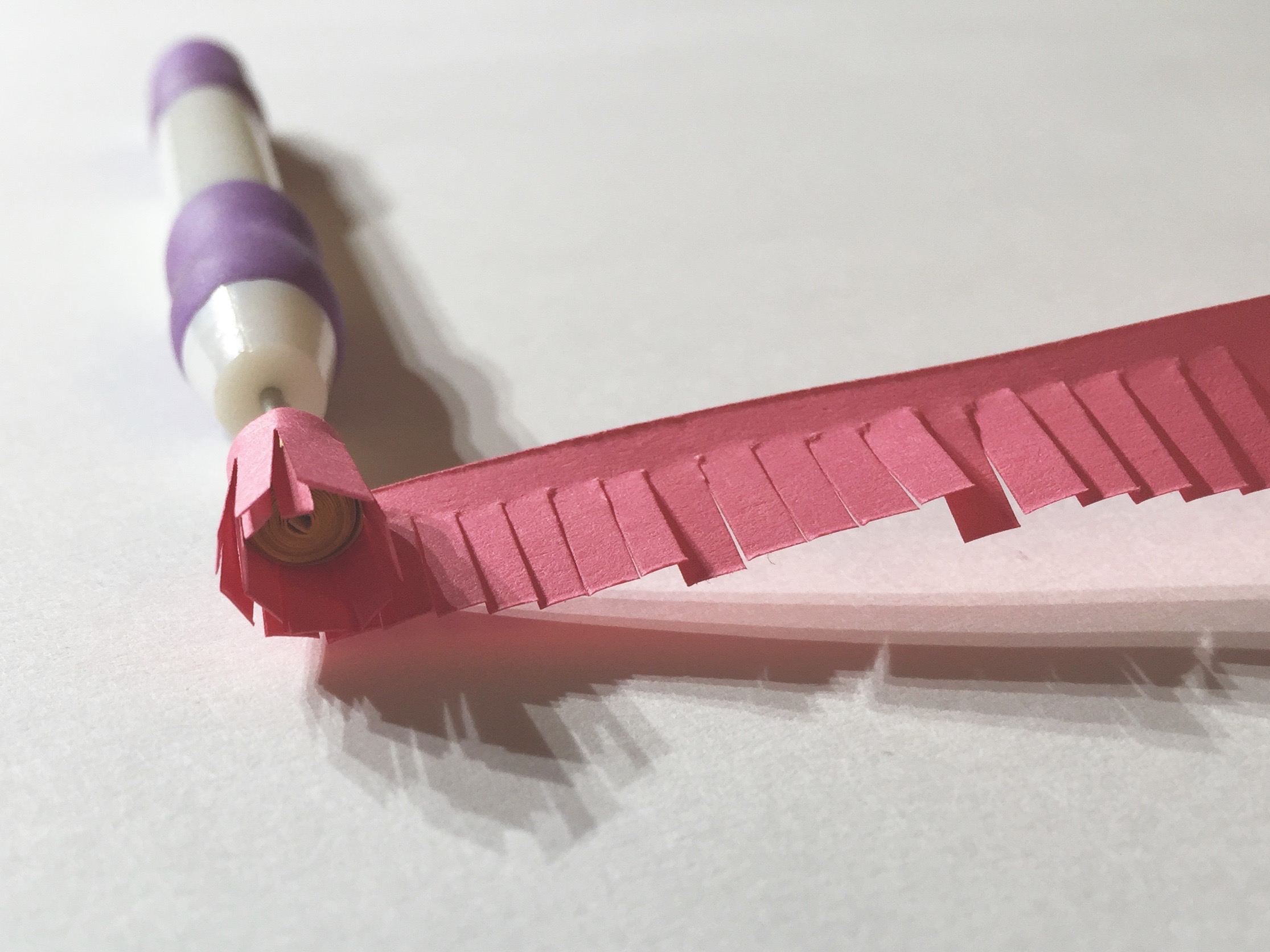 Image of quilling a fringed flower