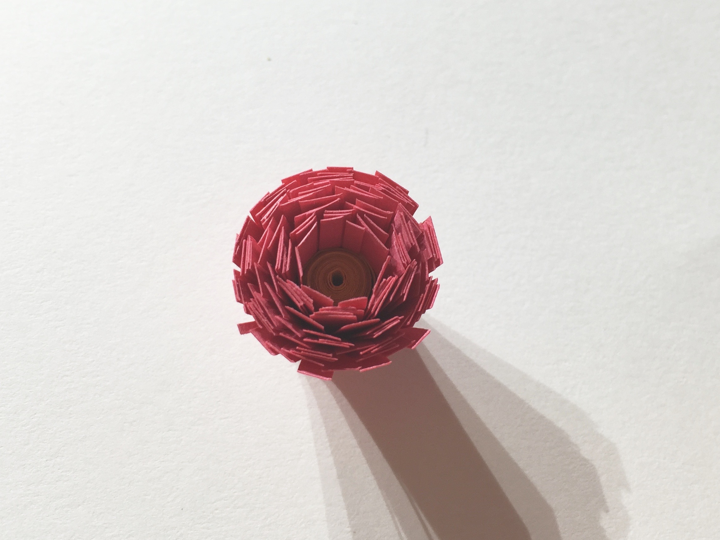 Image of fringed flower off the quilling tool.