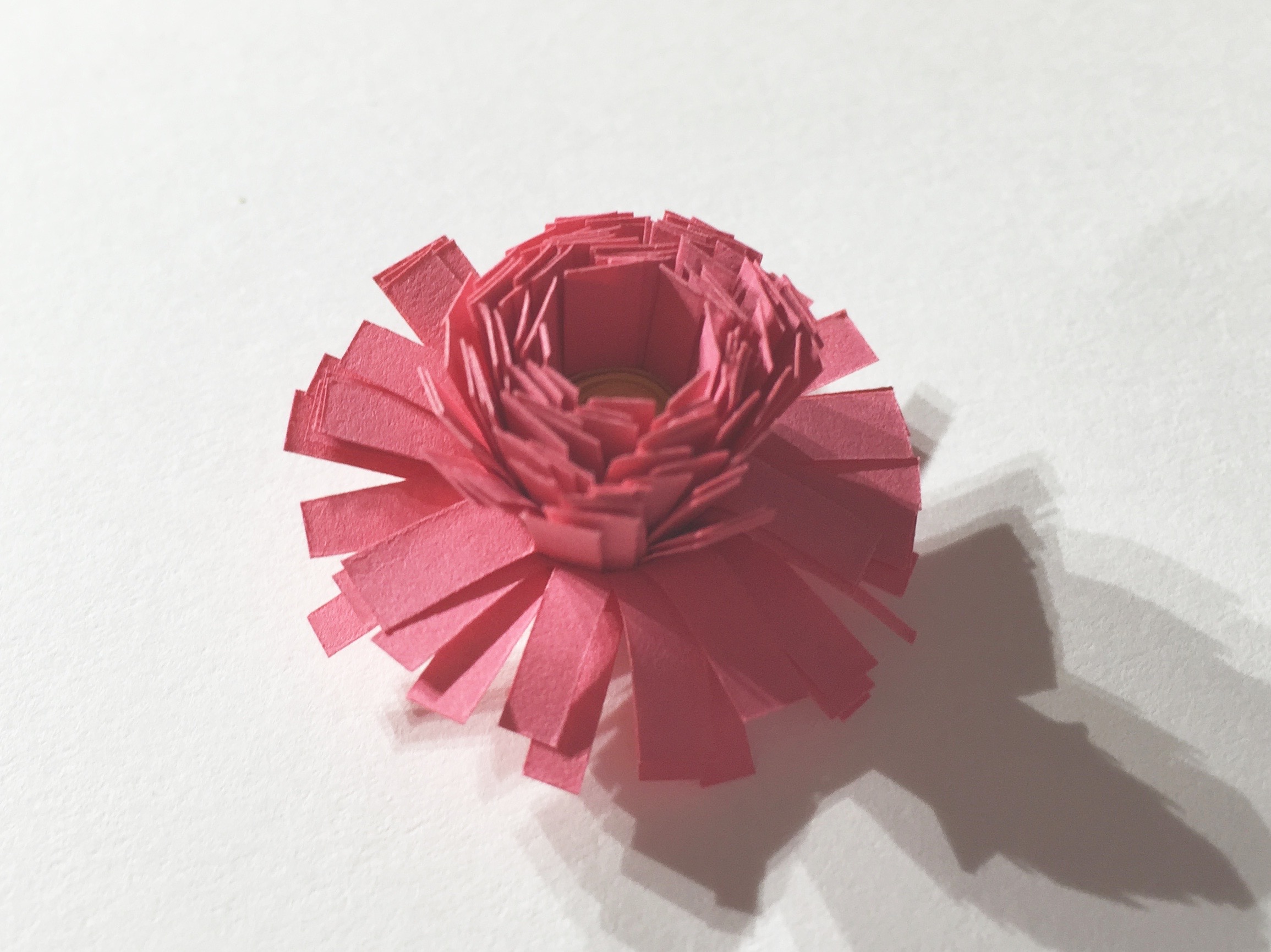 Image of fringed quilling flower