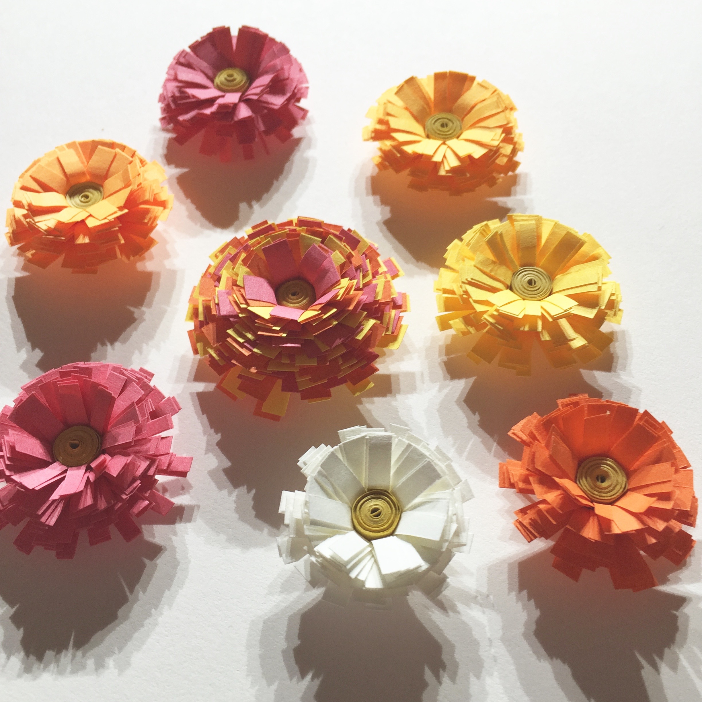 Image of quilled fringe flowers