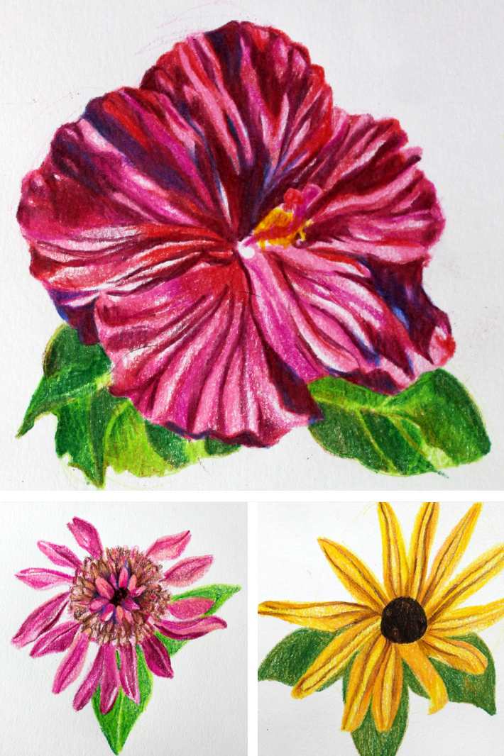 Using this easy to follow process, you'll be able to draw any flower!