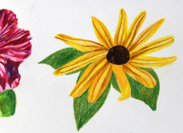 Flower with some shading